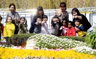 [포토]광주 북구, 봄꽃축제 개최