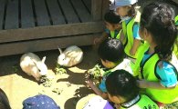 강서구 과해동 힐링체험농원 어린이 농촌체험학습