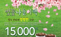 KFC, '벚꽃 나들이팩' 출시