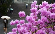 [포토]캠퍼스에 찾아온 봄