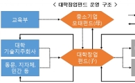 "창업 실패해도 빚 없도록"…160억 '대학창업펀드' 조성
