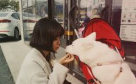 ‘남호연과 열애’ 구혜리, 카페 앞에서 만난 강아지와 행복한 한때