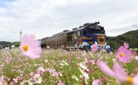 코레일, '봄 여행주간' 주중 관광전용열차 30% 할인