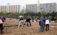강남구 도시텃밭 가꾸기 시작 