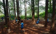 서울시, 유아숲 체험시설 400개로 늘린다