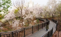 구로구 능골산 자락길 전 구간 개통