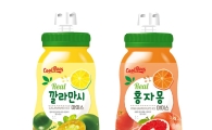 미니스톱 "열대과일 원액 넣은 아이스크림 신제품 맛보세요"