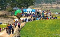 완도해조류박람회도 보고, 청산도 슬로걷기축제도 보고