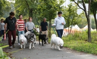 '반려동물 축제' '별의별 축제' 등 강동구 가정의 달 축제 