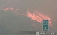 안전처, 강릉·삼척·상주 산불 복구비 27억원 긴급 지원
