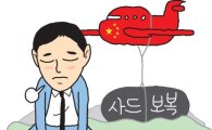 [사드 장막 걷히나③]볼모로 잡힌 롯데, 새 정부 '對中 외교' 기대