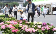 [포토]발걸음을 멈추게 하는 꽃장터 