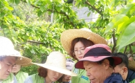 농협유통, 농번기 과수농가 돕기 구슬땀 