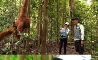 ‘정글의 법칙’ 조보아, 오랑우탄에 ‘사랑’ 듬뿍