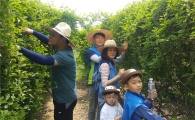 신한은행, 농촌일손돕기 봉사활동 실시