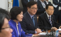 [포토]발언하는 추미애 대표