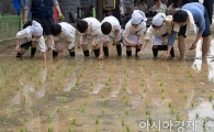 [포토]도심 속 모내기