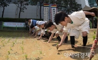 [포토]'전통 손 모내기' 체험