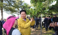 농협, 충남 우박 피해 농가에 보험금 선지급키로