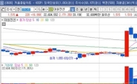 연속적인 급등특징주 포착! 아직 늦지 않았다? 다음 종목은?