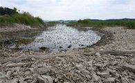 농협 가뭄 피해 지역 3000억 자금지원