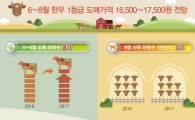 닭·오리·돼지고기 다음달에도 "高!"…안 잡히는 축산물 가격(종합)