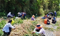 전남도교육청, 농촌 일손 돕기로 농가 시름 덜어