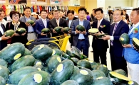수박도 컬러시대 ‘고창 블랙망고수박’ 선보여