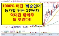 1000% 화승인더급 실적 터지는 1천원대 황제주!