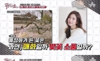 ‘풍문쇼’, 예정화 거짓말 논란 재조명…매화부터 경찰청 홍보대사까지