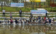 고창군, 어린 참게 8만 마리 방류