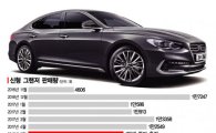 그랜저IG 6개월 연속 1만대…역대 준대형차 중 최고 기록