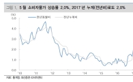 가파르게 오르는 농·축산물가격…"소비자물가 향후 안정 전망" 