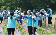 건보공단, 신입직원 200명 취약농가 일손 돕기