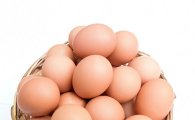 유럽 '살충제 달걀' 사태 확산...간, 신장을 해치는 맹독성 성분