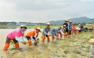 고창군 농민회, 통일쌀 모내기 행사 가져