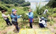 전남도 동부지역본부, 농촌 일손 돕기 구슬땀