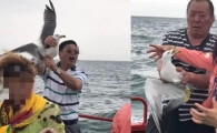 중국인 관광객들, 먹이로 갈매기 유인해 날개 잡고 사진 찍어 