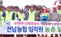 전남농협 휴일도 잊은채 ‘농촌 일손돕기’구슬땀