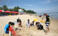 보성율포솔밭해수욕장 오는 7월 7일 개장