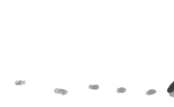 [오후 한 詩]고백이 필요해/서광일