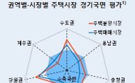 "상반기 주택시장 온도차…서울·강원 '확장', 지방 '수축'"