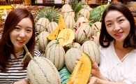 [포토]프랑스 남부 특산물 '칸탈로프 멜론'의 자태