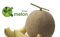 공영홈쇼핑-농협, K멜론 특별판매