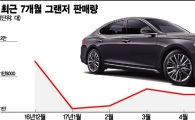 그래도 빛난 그랜저, 7개월 연속 1만대 판매 신기록