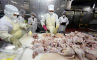 [포토]광주북구, 초복 앞두고 닭 유통업체 위생점검