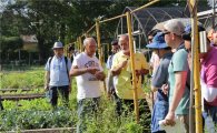 [과학을 읽다]쿠바의 '도시농업'을 만나다