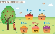 사과·배 생산 부진…가격 1년 전보다 비싸진다