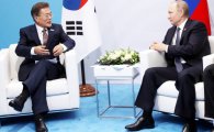 文 대통령·푸틴, 첫 정상회담…"北 비핵화 협력 강화"