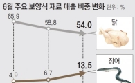 복날에 먹는 보양식, 삼계탕보다 장어·전복·낙지 강세 